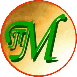 Pi.M-Software Logo